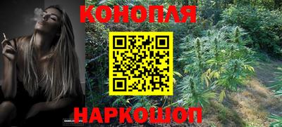 мяу мяу мука Краснознаменск