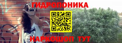 мяу мяу мука Краснознаменск