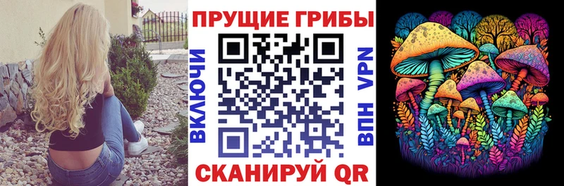 Галлюциногенные грибы Psilocybine cubensis  сайты даркнета как зайти  Иваново  гидра ссылка 