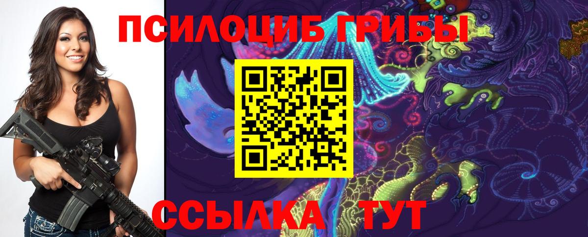 Псилоцибиновые грибы мицелий  Вход с VPN  Иваново  Псилоцибиновые грибы мицелий 