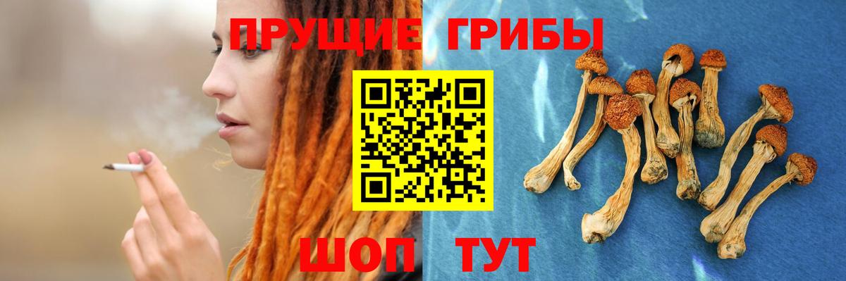 Галлюциногенные грибы Cubensis Иваново